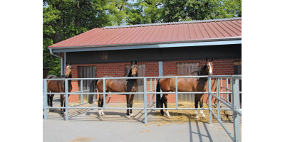 Paddocks & Round Penn